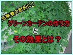 グリーンカーテンでベランダに緑を！作り方とその効果とは？